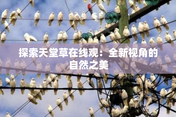 探索天堂草在线观：全新视角的自然之美
