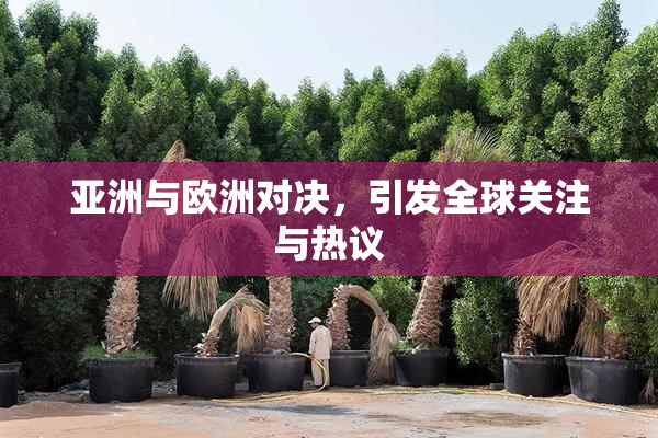 亚洲与欧洲对决，引发全球关注与热议