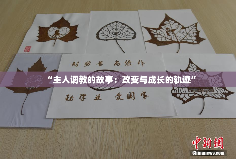 “主人调教的故事：改变与成长的轨迹”