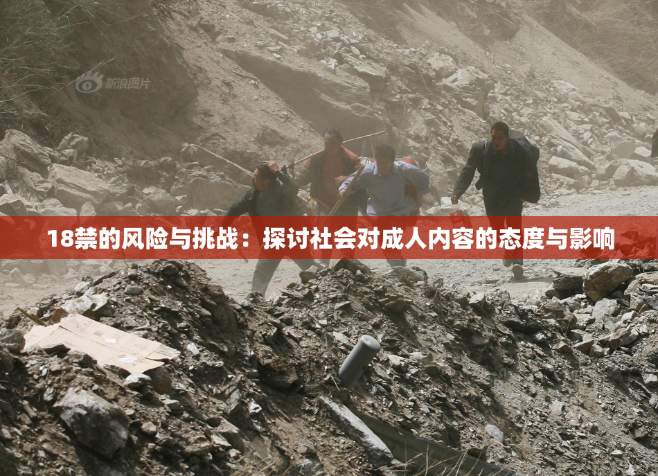 18禁的风险与挑战：探讨社会对成人内容的态度与影响