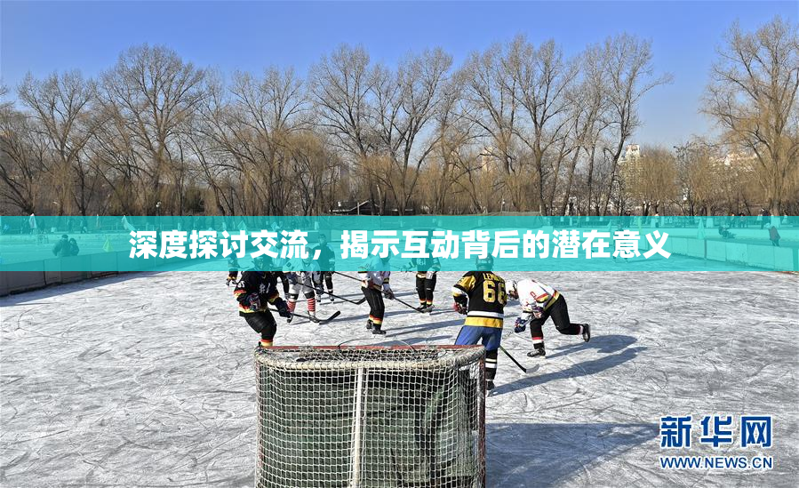 深度探讨交流，揭示互动背后的潜在意义