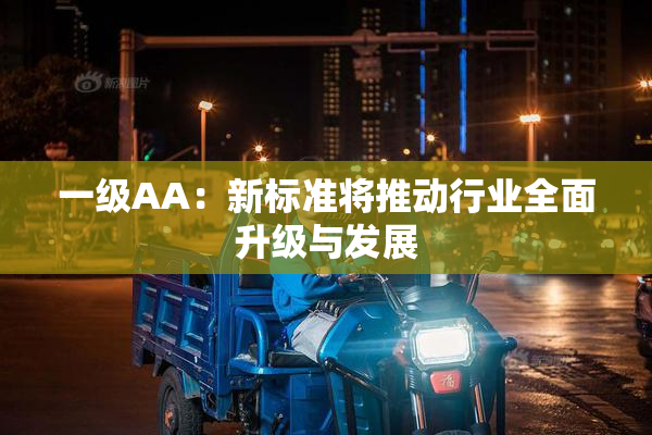 一级AA：新标准将推动行业全面升级与发展