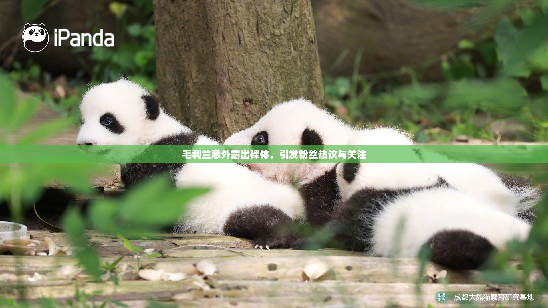 毛利兰意外露出裸体，引发粉丝热议与关注