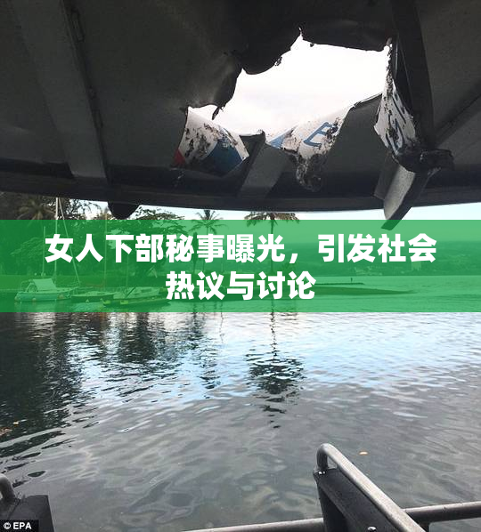 女人下部秘事曝光，引发社会热议与讨论