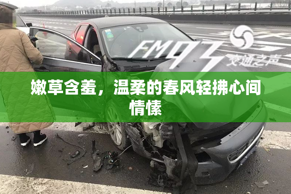 嫩草含羞，温柔的春风轻拂心间情愫
