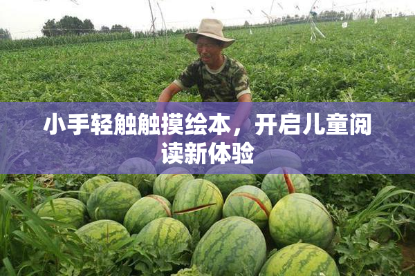 小手轻触触摸绘本，开启儿童阅读新体验