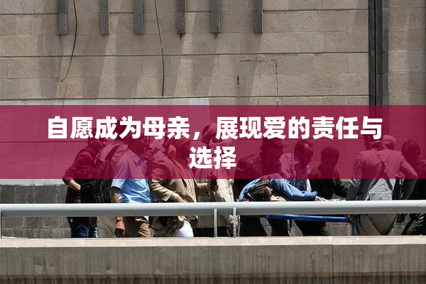 自愿成为母亲，展现爱的责任与选择