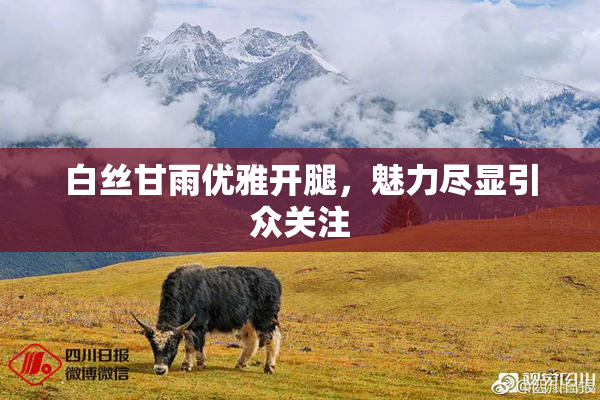 白丝甘雨优雅开腿，魅力尽显引众关注