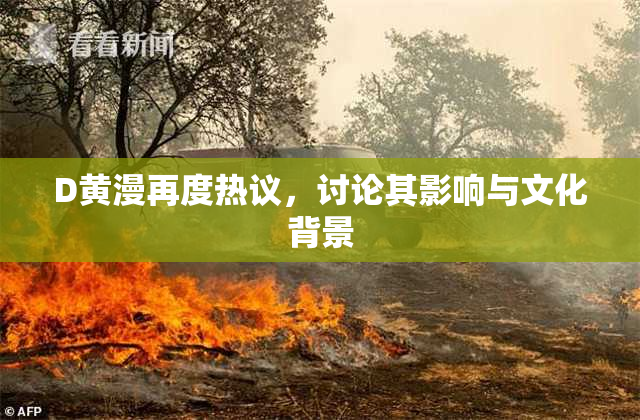 D黄漫再度热议，讨论其影响与文化背景