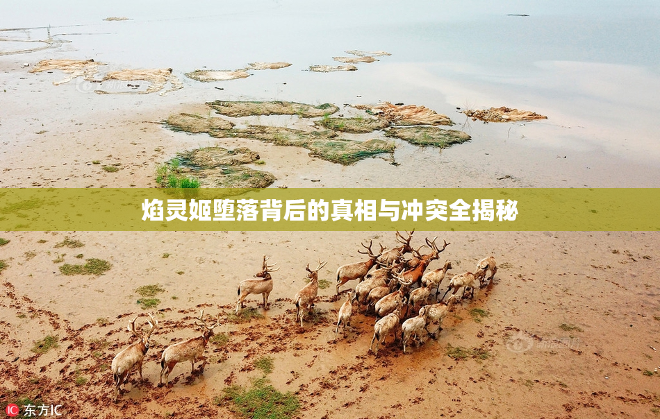 焰灵姬堕落背后的真相与冲突全揭秘