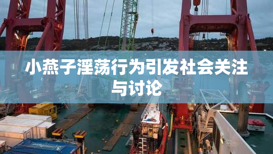 小燕子淫荡行为引发社会关注与讨论