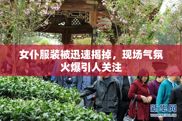 女仆服装被迅速揭掉，现场气氛火爆引人关注