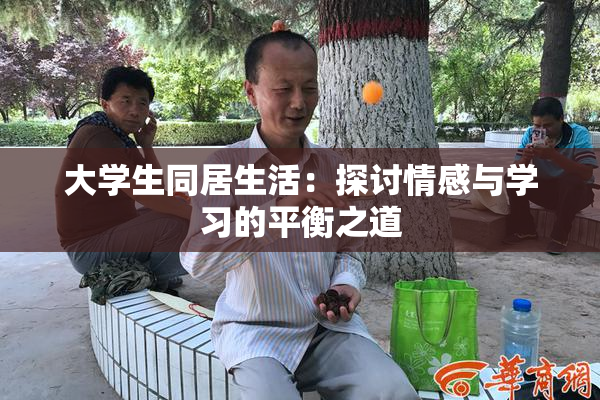 大学生同居生活：探讨情感与学习的平衡之道