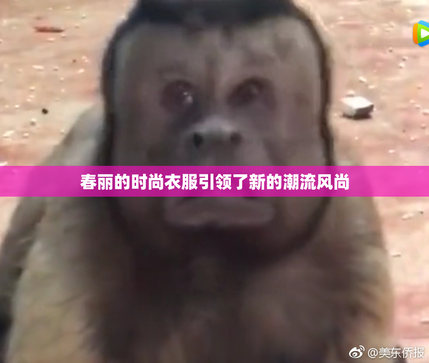 春丽的时尚衣服引领了新的潮流风尚