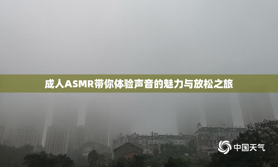 成人ASMR带你体验声音的魅力与放松之旅