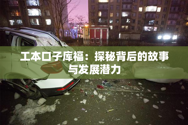 工本口子库福：探秘背后的故事与发展潜力