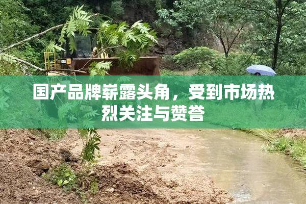国产品牌崭露头角，受到市场热烈关注与赞誉