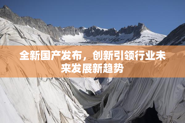 全新国产发布，创新引领行业未来发展新趋势