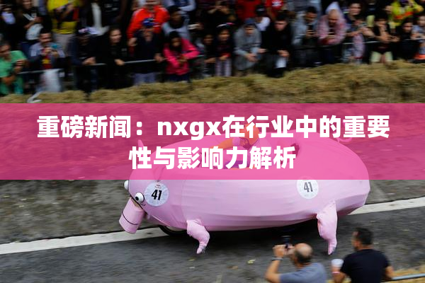 重磅新闻：nxgx在行业中的重要性与影响力解析