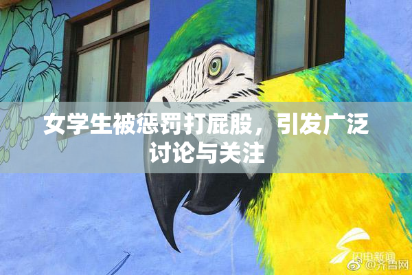 女学生被惩罚打屁股，引发广泛讨论与关注