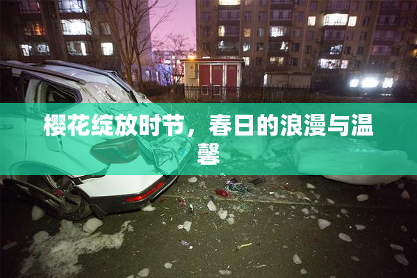 樱花绽放时节，春日的浪漫与温馨