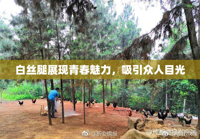白丝腿展现青春魅力，吸引众人目光