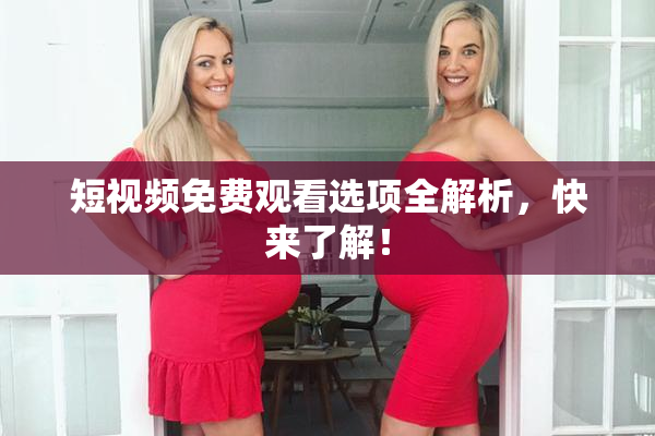 短视频免费观看选项全解析，快来了解！