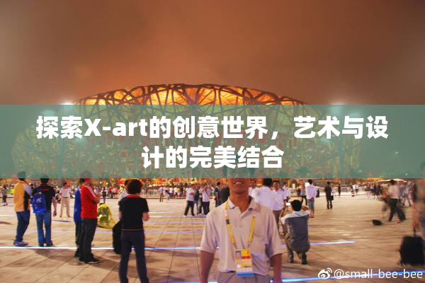 探索X-art的创意世界，艺术与设计的完美结合
