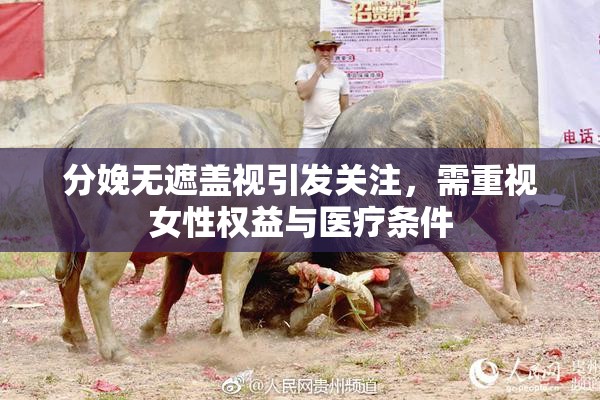 分娩无遮盖视引发关注，需重视女性权益与医疗条件