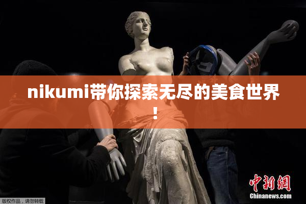 nikumi带你探索无尽的美食世界！