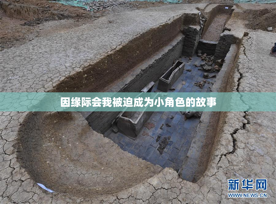 因缘际会我被迫成为小角色的故事