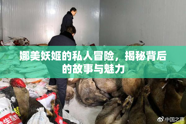 娜美妖姬的私人冒险，揭秘背后的故事与魅力
