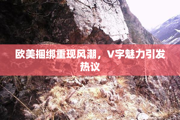 欧美捆绑重现风潮，V字魅力引发热议