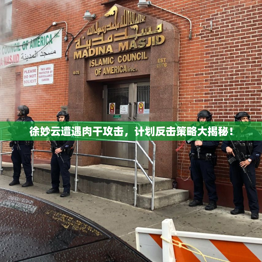 徐妙云遭遇肉干攻击，计划反击策略大揭秘！
