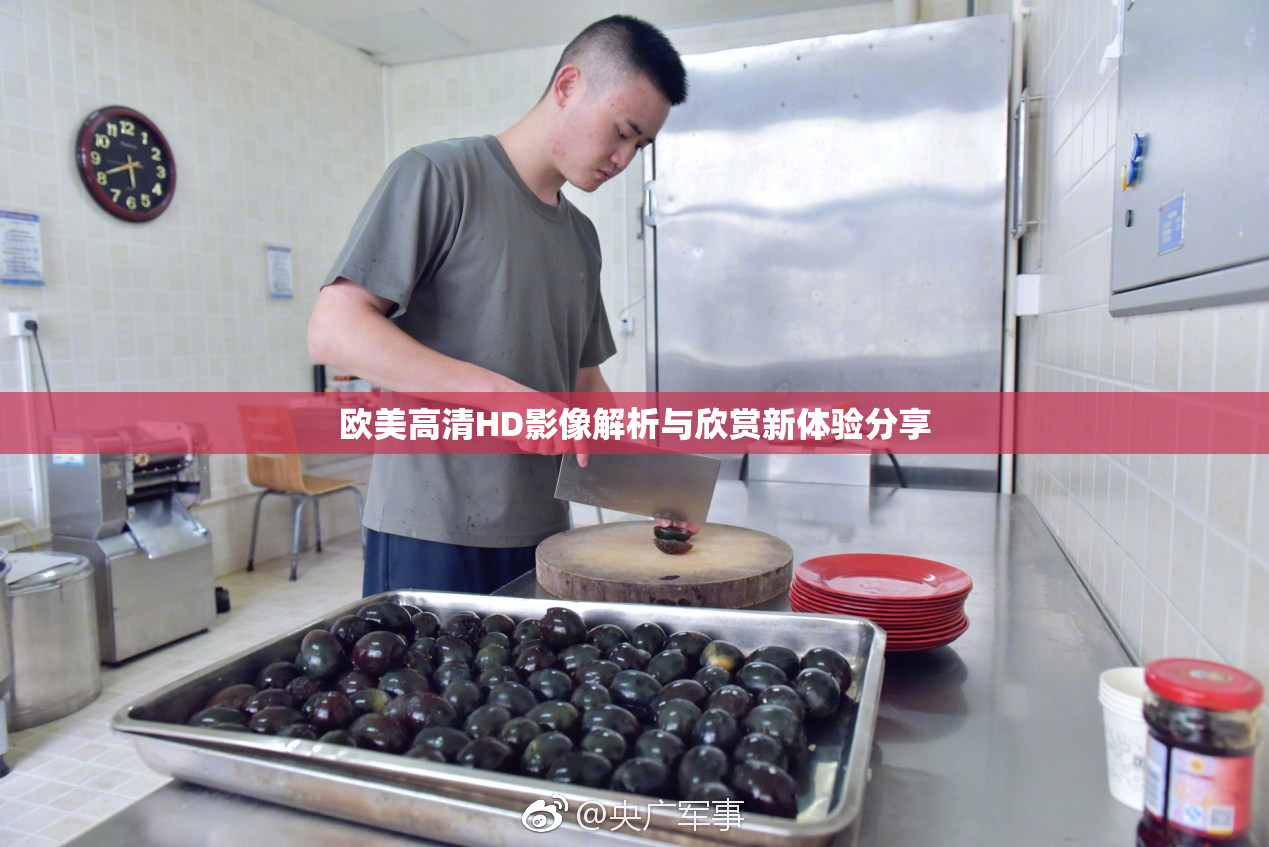 欧美高清HD影像解析与欣赏新体验分享
