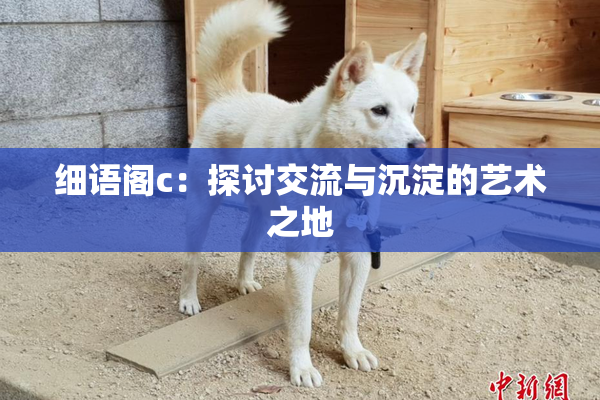 细语阁c：探讨交流与沉淀的艺术之地