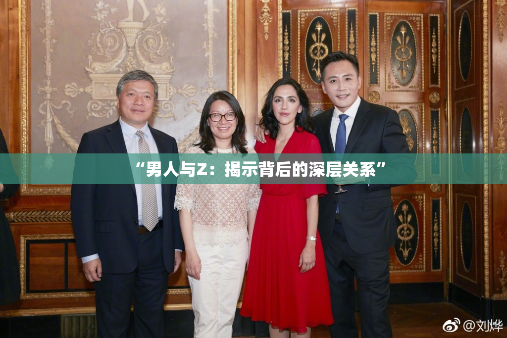 “男人与Z：揭示背后的深层关系”