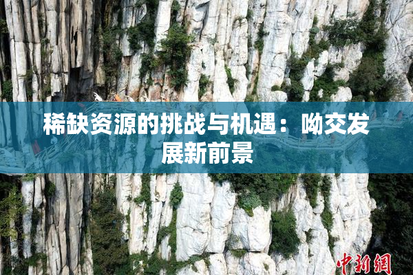 稀缺资源的挑战与机遇：呦交发展新前景