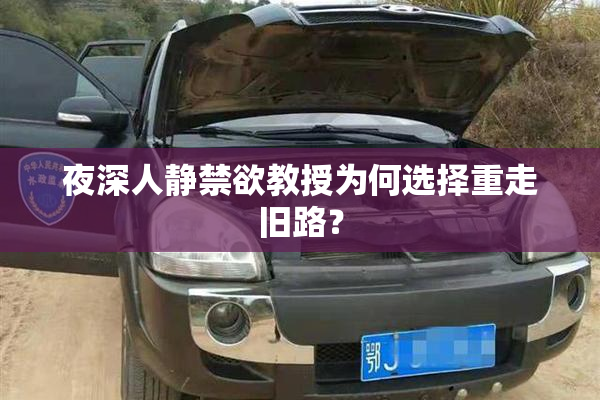 夜深人静禁欲教授为何选择重走旧路？