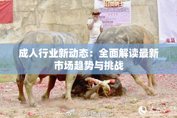 成人行业新动态：全面解读最新市场趋势与挑战