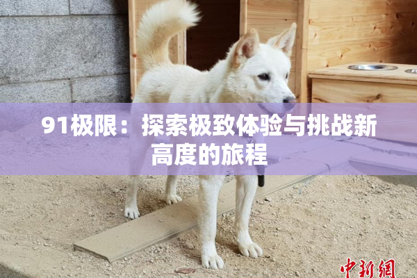 91极限：探索极致体验与挑战新高度的旅程