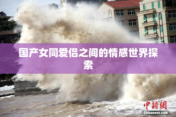 国产女同爱侣之间的情感世界探索