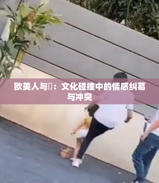 欧美人与嘼：文化碰撞中的情感纠葛与冲突