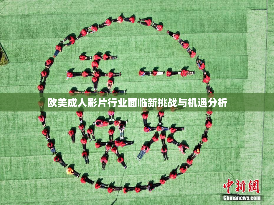 欧美成人影片行业面临新挑战与机遇分析