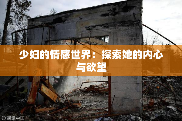 少妇的情感世界：探索她的内心与欲望