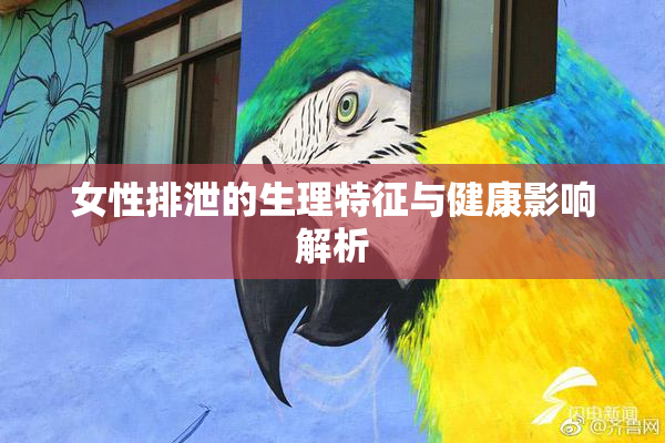 女性排泄的生理特征与健康影响解析