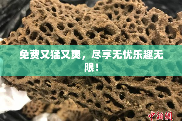 免费又猛又爽，尽享无忧乐趣无限！