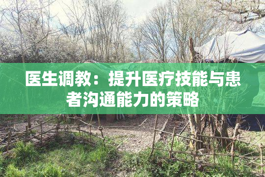 医生调教：提升医疗技能与患者沟通能力的策略