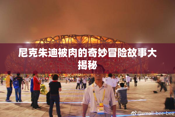 尼克朱迪被肉的奇妙冒险故事大揭秘