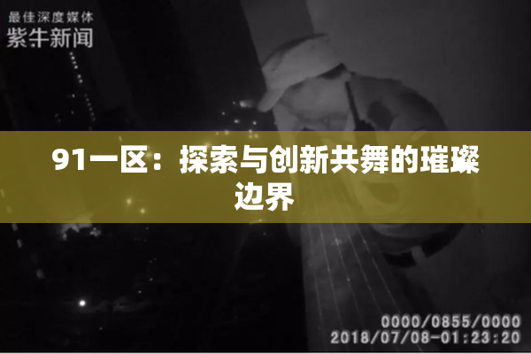 91一区：探索与创新共舞的璀璨边界